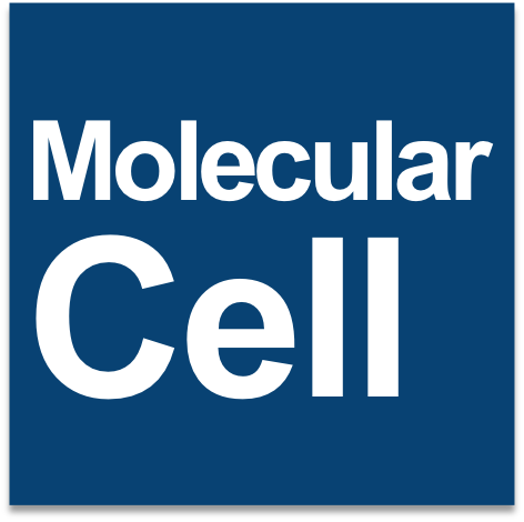mol cell